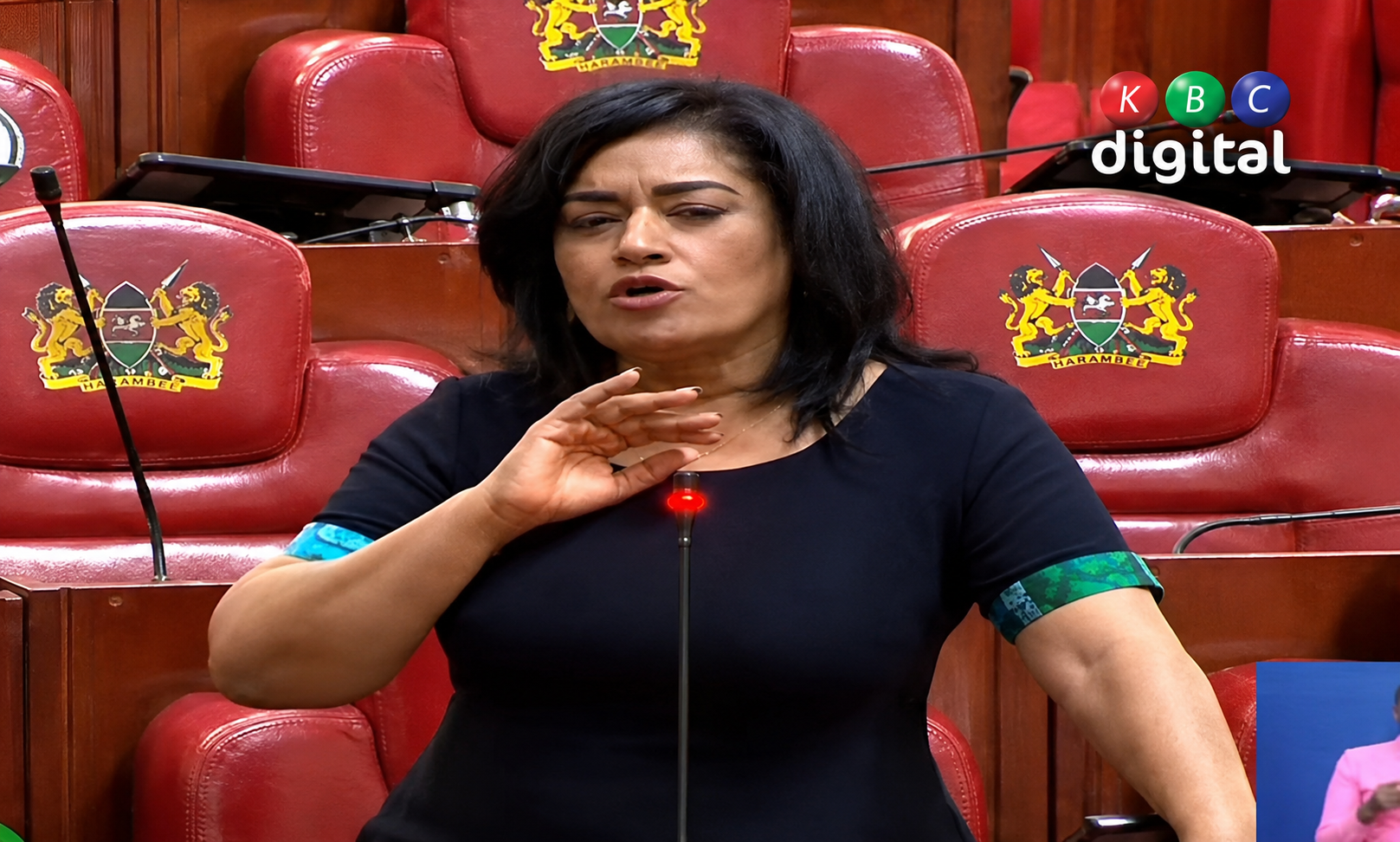 Esther Passaris speaking in Parliament during a debate in Nairobi